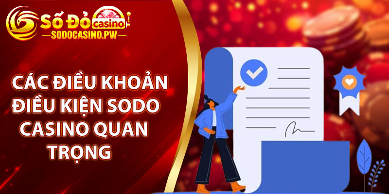 Các điều khoản điều kiện sodo casino quan trọng